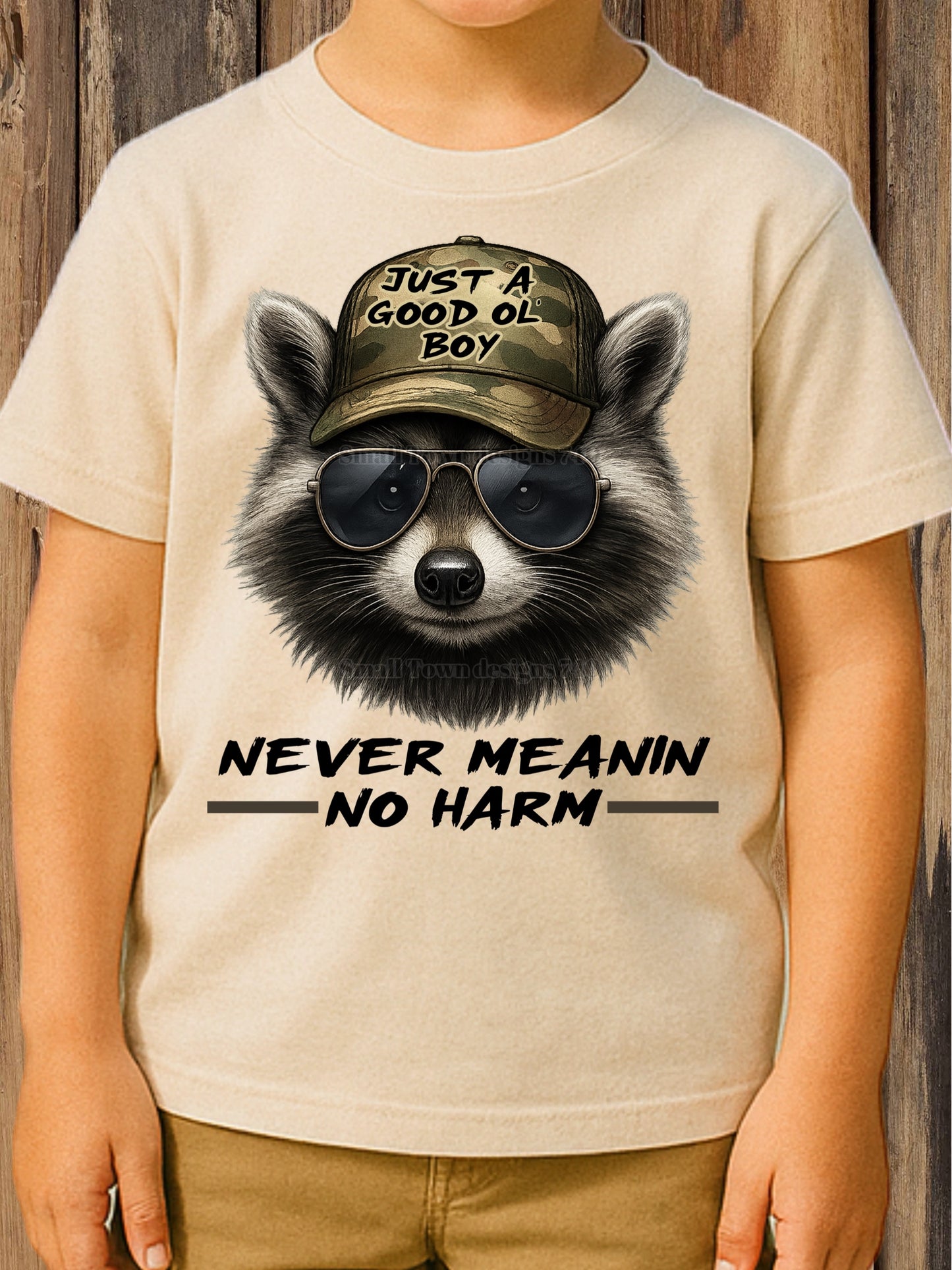 Never Meaning No Harm - DTF Transfer