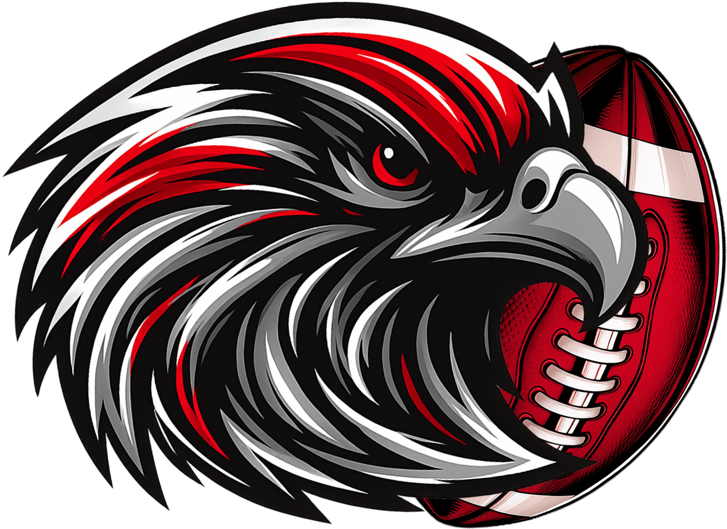 Atlanta Falcons Football