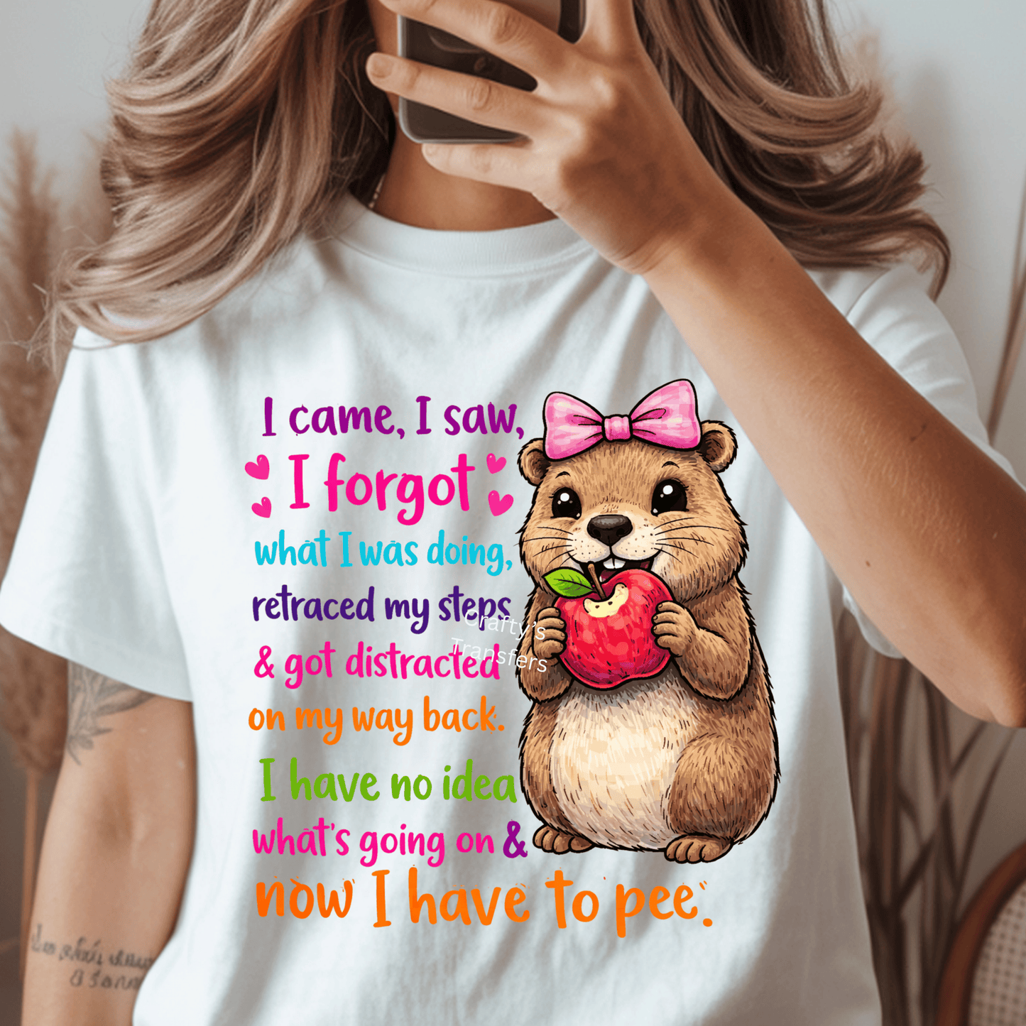 I Came I Saw I Forgot DTF Transfer | Funny ADHD Squirrel Shirt Design | Cute Distracted Animal Graphic Tee | Humor Boutique Apparel