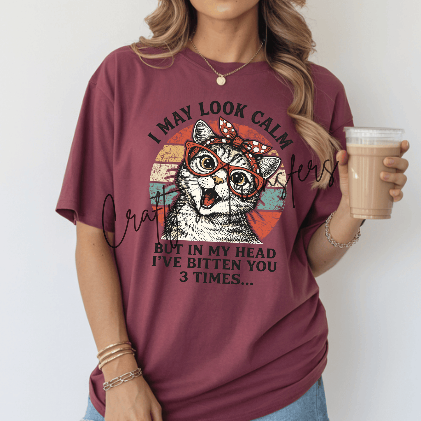 I May Look Calm But in My Head I've Bitten You 3 Times Cat DTF Transfer | Funny Cat Lover Heat Transfer | Retro Vintage Graphic Tee Design