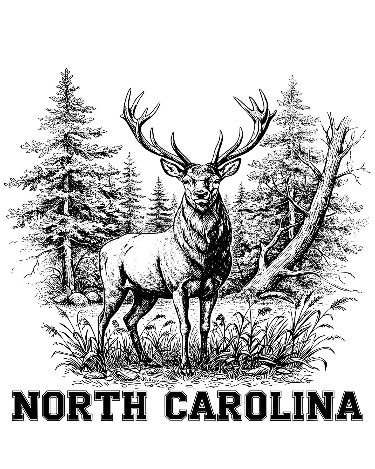 Outdoors - North Carolina