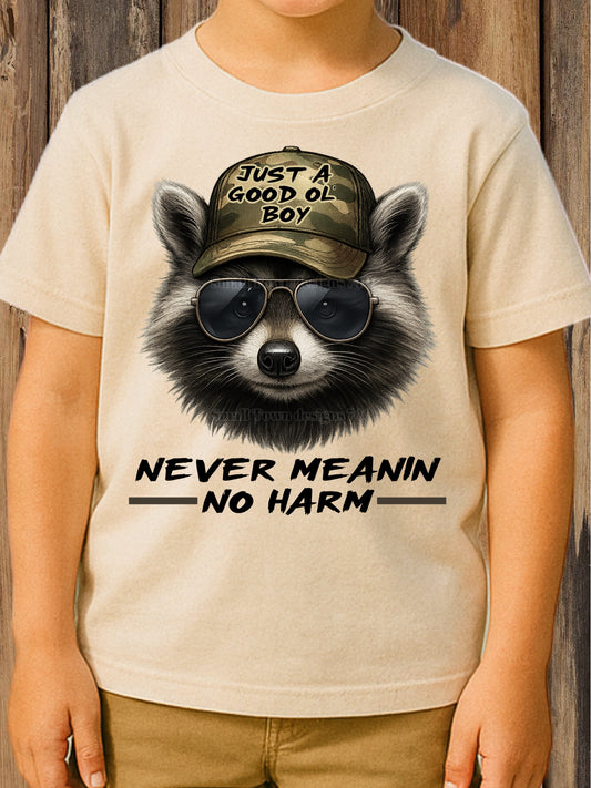 Never Meaning No Harm - DTF Transfer