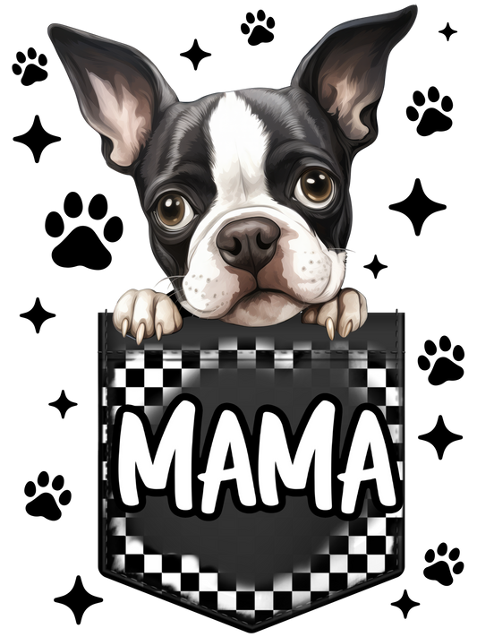 Frenchie Mama, French Bulldog
