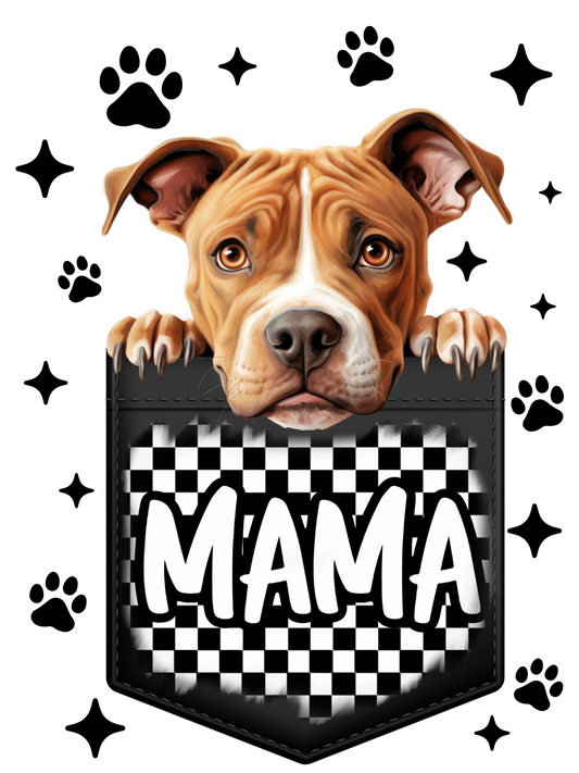 Pitbull Mama
