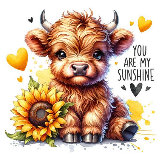 Highland Cow - You Are My Sunshine