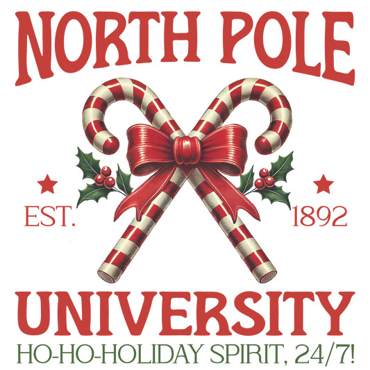 North Pole University