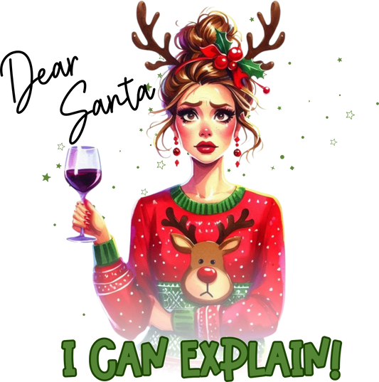 Dear Santa I Can Explain
