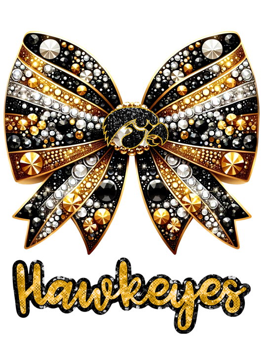 Iowa Hawkeyes Bow