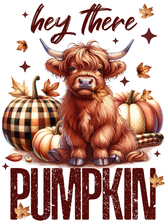 Hey There - Highland Cow - Pumpkin - Fall