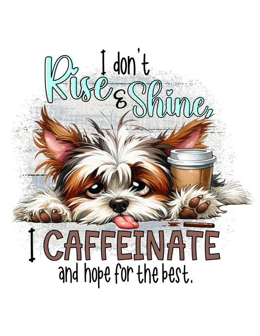 I Don't Rise & Shine - DTF Transfer