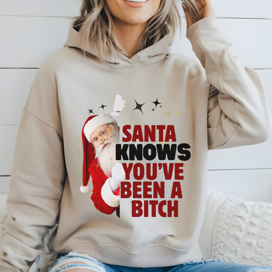 Santa Knows You've Been A Bitch