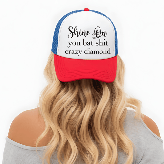 Shine On You Bat Shit Crazy Diamond DTF Transfer – Bold Sarcastic Quote Graphic – Edgy Statement Heat Press Transfer