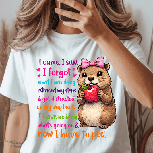 I Came I Saw I Forgot DTF Transfer | Funny ADHD Squirrel Shirt Design | Cute Distracted Animal Graphic Tee | Humor Boutique Apparel