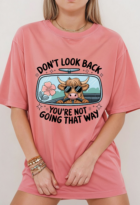 Don't Look Back You're Not Going That Way - DTF Print