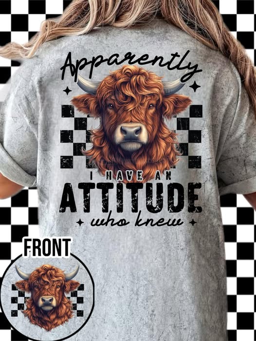 Apparently I have an Attitude DTF Transfer