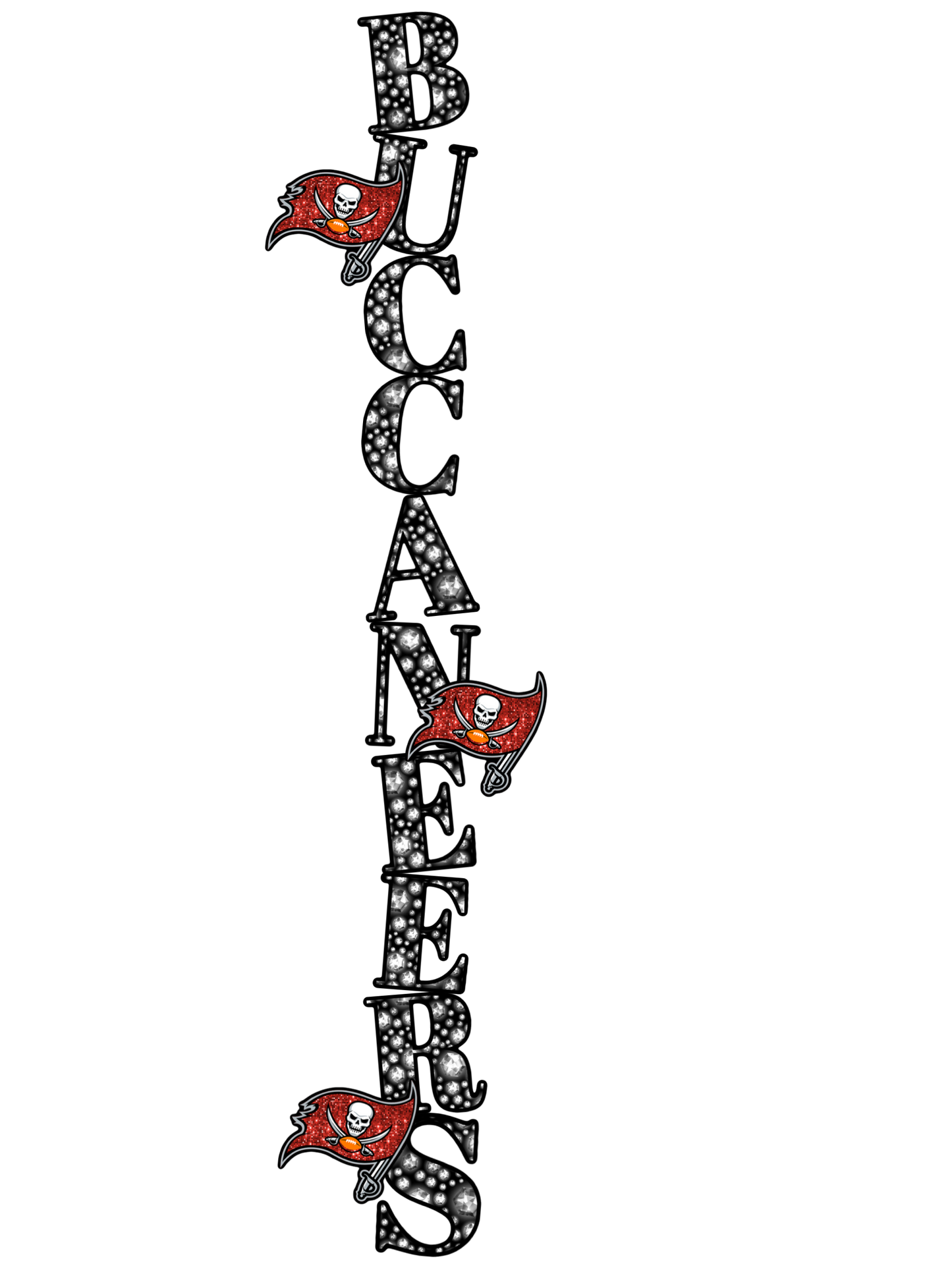 Tampa Bay Buccaneers (6 Design Options)