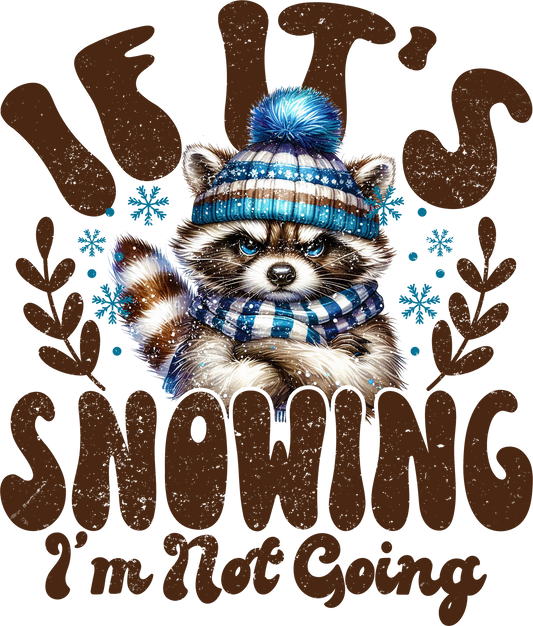If It's Snowing I'm Not Going