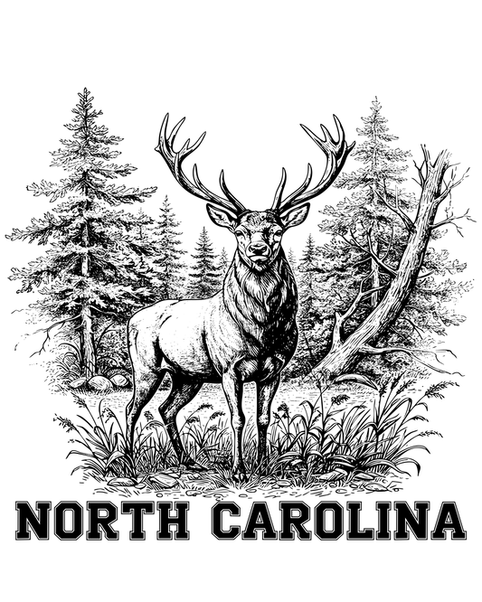 Outdoors - North Carolina