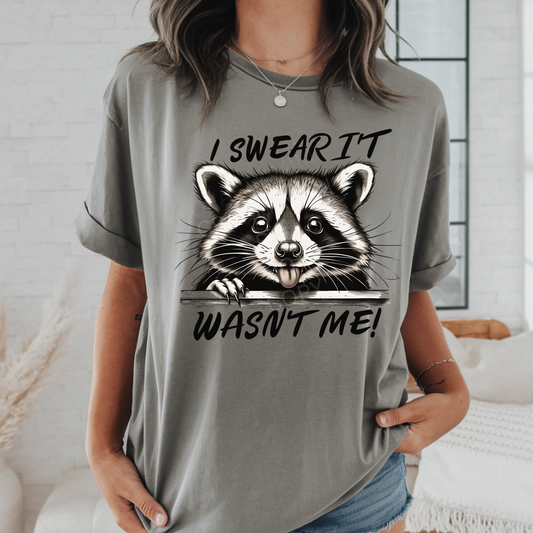 I Swear It Wasn't Me